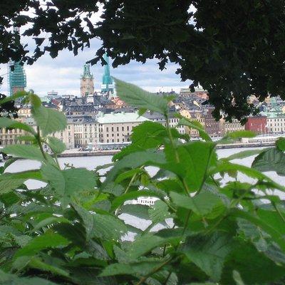 Stockholm Top attractions all-inclusive Gran Tour