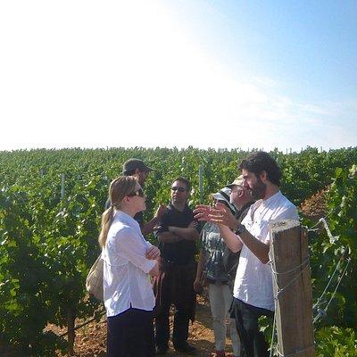 Madrid Countryside Wineries Guided Tour with Wine Tasting