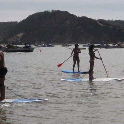 Rental of boards and stand up paddle lessons