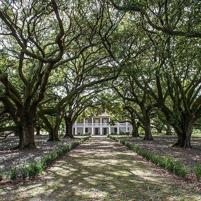 Whitney Plantation Tour with Transportation from New Orleans