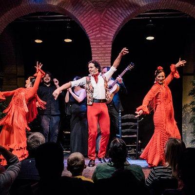 Seville: Authentic Flamenco Show - Museo del Baile Flamenco