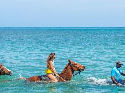 Dunn's River Falls Climb plus Ziplines, ATV, Horse Ride & Swim from Ocho Rios