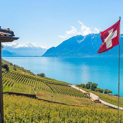 Panoramic Wine Tour From Montreux