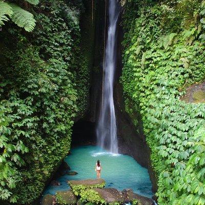 Bali Secret Waterfall Tour - Private and All-Inclusive