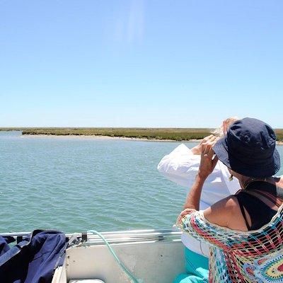 2-hour Bird Watching Guided Boat Trip in Ria Formosa from Faro Algarve