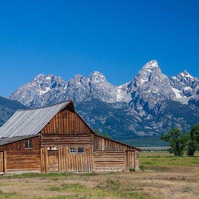 Private Grand Teton Wildlife Safari Tour