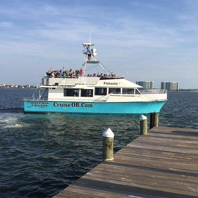 Alabama Gulf Coast Dolphin Cruise