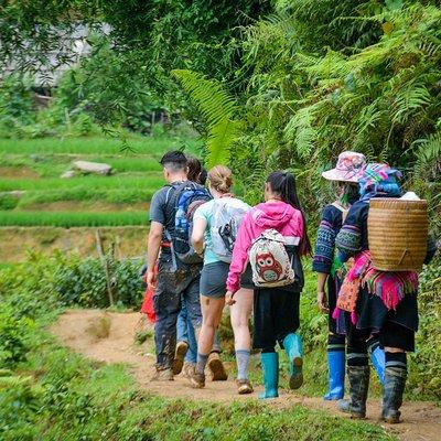 Trekking Through Rice Terraced Fields - 1Day​