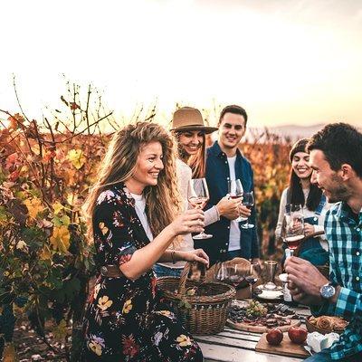 Napa and Sonoma Wine Country Full-Day Tour from San Francisco