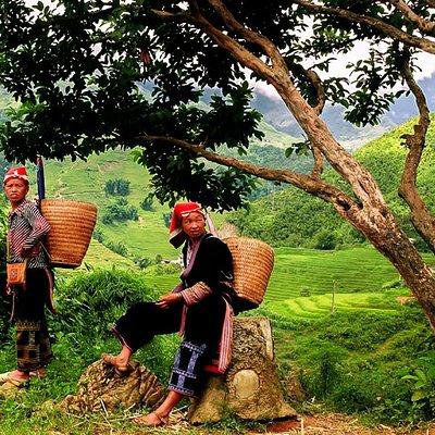 Sapa Easy Trekking Tour 1 Day - Rice Paddies and Cultures