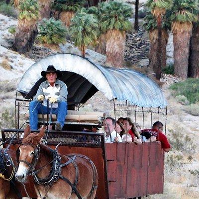 Covered Wagon Adventure & BBQ