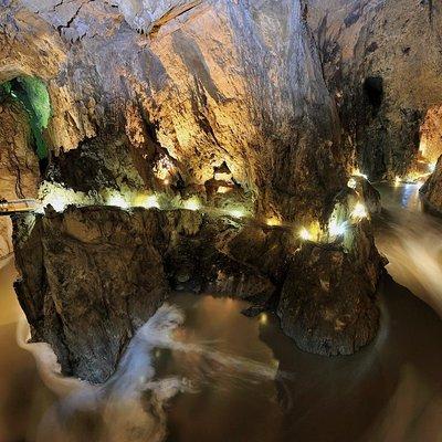 Lipica Stud Farm & Skocjan Caves - Small Group Tour from Trieste