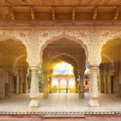 Jaipur Amer Fort, Jal Mahal & Stepwell Private Half-Day Tour