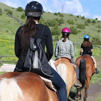 Guided Horseback Trek through Blue Flower Trail 