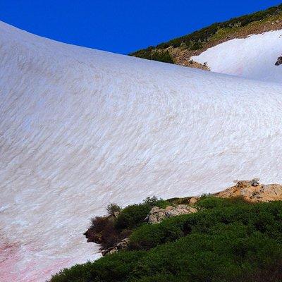 Glacier Hiking & Geothermal Cave Pools Tour