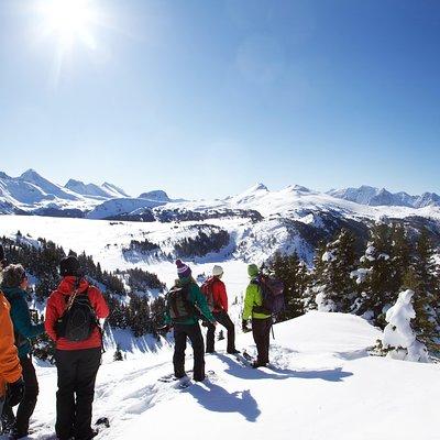 Snowshoeing on Top of the World