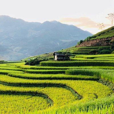 Trekking SaPa 1 Day - the best terraced rice field