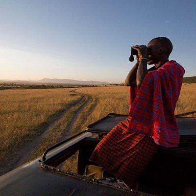 1-Day Maasai Mara Safari