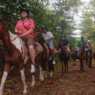 East Coast Horseback Riding & Waterfall Excursion 