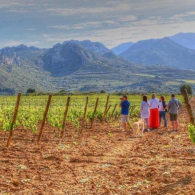 Rioja Like A Native Wine Tour