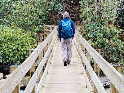 Thundering Streams and Falls of the Smokies Guided Hiking Tour