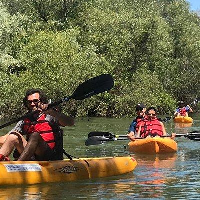 Guided Kayak Tour on Russian River