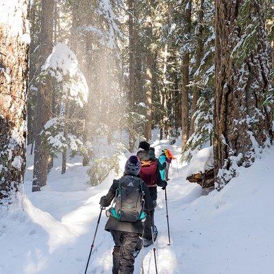 Snowshoe Tours