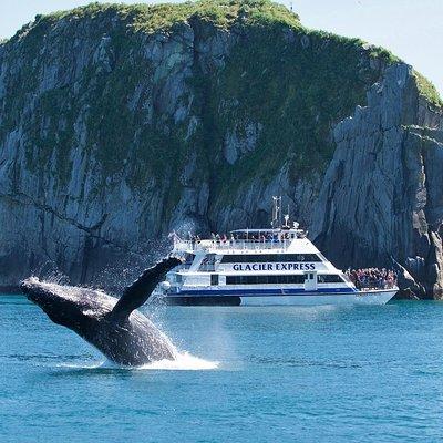 Full-Day Kenai Fjords National Park Cruise