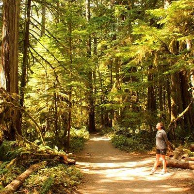 Best of Olympic National Park from Seattle: All-Inclusive Small-Group Day Tour