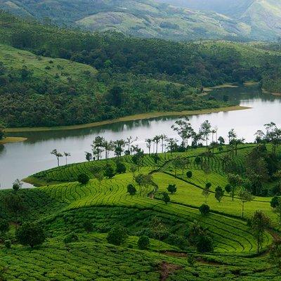 6 Days Kerala Premium Tour Packages- Glimpses of Kerala with Sanguine