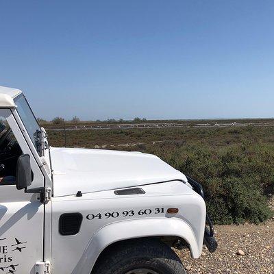 4x4 Camargue Safari 4h - Private Tour - Departure from Arles