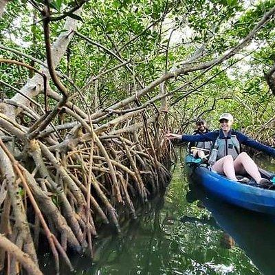 Thousand Islands Mangrove Tunnel Kayak Tour with Cocoa Kayaking!