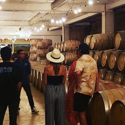 PRIVATE WINETASTING TOUR (Transportation,custom schedule)