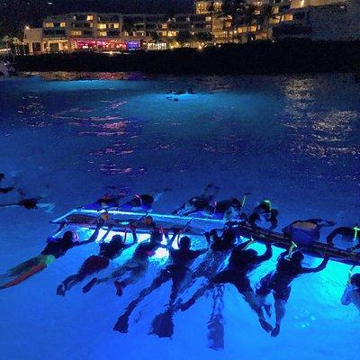 Manta Ray Night Snorkel