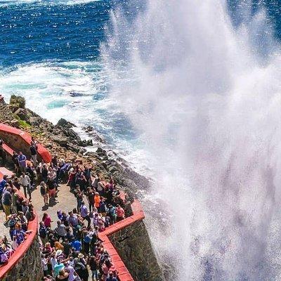 Private Bufadora Blowhole & Market Scenic Tour w/ Options