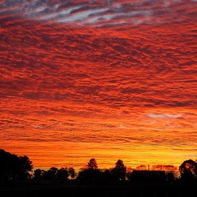 Private full-day wine tour in the Hunter Valley