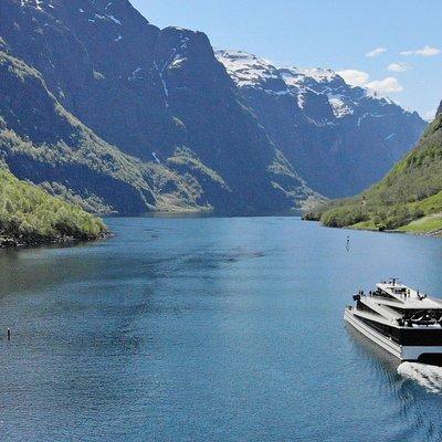 Private guided tour - Premium Nærøyfjord Cruise and Flåm Railway 