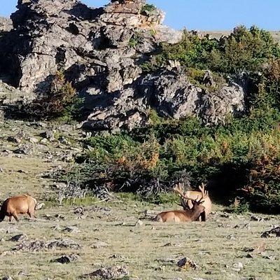 Private Three Hour Afternoon Custom Tour of Rocky Mountain National Park