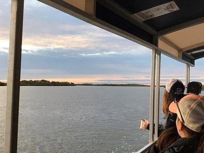 Wildlife Tour of Indian River Lagoon with Experienced Captain