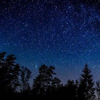 Private Stargazing - Sequoia National Park