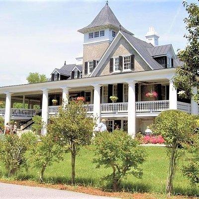 Magnolia Plantation Admission & Tour with Transportation from Charleston