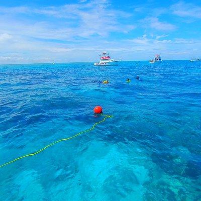 A Unique Private Snorkel Tour of Key Largo 