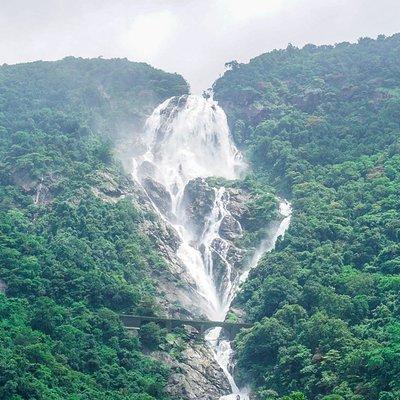 Full-Day Tour Old Goa Dudhsagar Falls and Spice Plantation