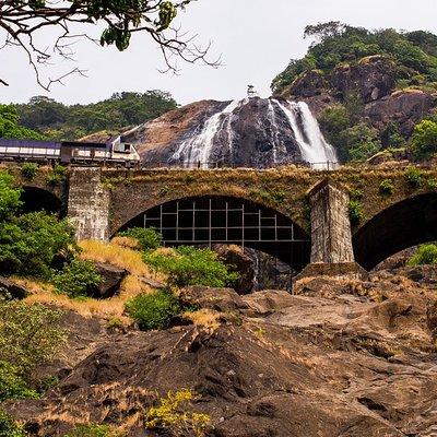 Private Tour to Goa and Dudhsagar Waterfalls with Lunch