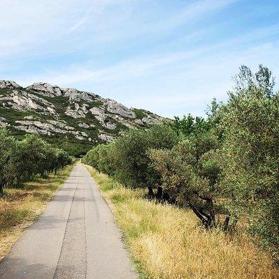 4x4 safari - 4h Alpilles Provence - Departure from Arles