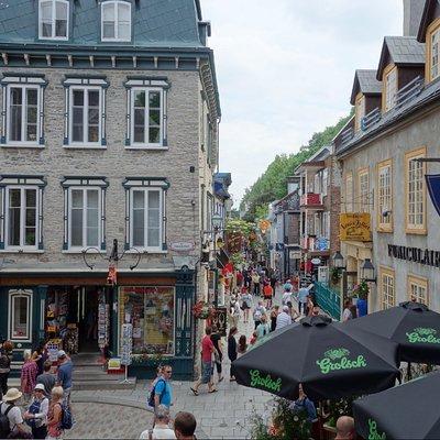 Montreal City Sightseeing Tour with Live Commentary