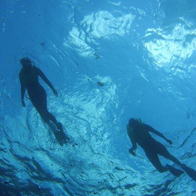 Private Snorkel to Key Largo Reef for up to 12 - INCLUDES GEAR!