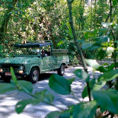 Jeep Tour - Tijuca Tropical Forest