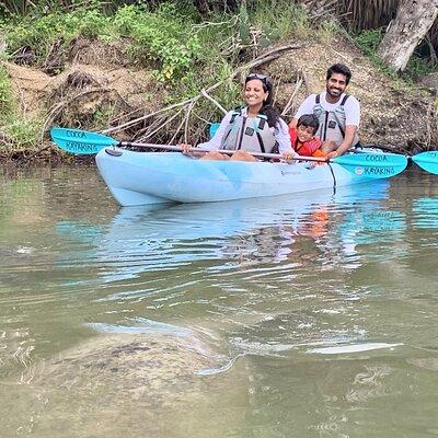 Wildlife Refuge Manatee, Dolphin & Mangrove Kayak or Paddleboarding Tour!