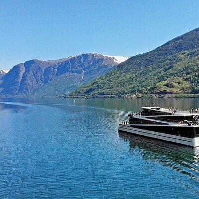 Private guided tour - Premium Nærøyfjord Cruise and Flåm Railway